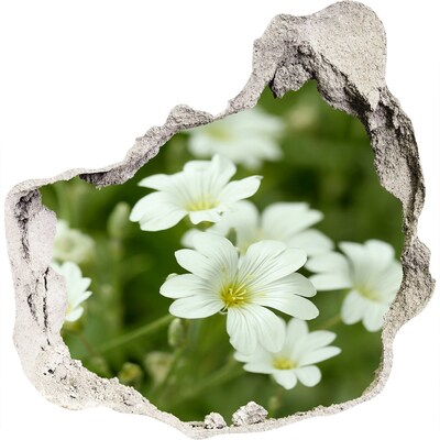 3D muursticker effect gat in de muur Bloemen in een gat in de muur