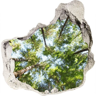 3D muursticker effect gat in de muur Uitzicht op het bos met een blauwe lucht.