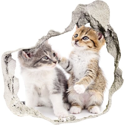 Zelfklevende muursticker 3D gat De kattenwereld achter de muur