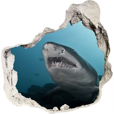 3D muursticker effect gat in de muur Haai in de onderwaterwereld