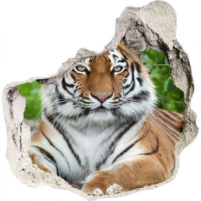 Zelfklevende muursticker 3D gat Tijger in zijn natuurlijke habitat