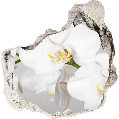 Zelfklevende muursticker 3D gat Bloemen in beton