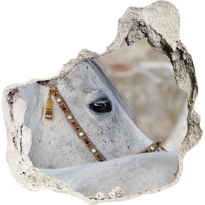 Zelfklevende muursticker 3D gat Een paard met een elegant hoofdstel.
