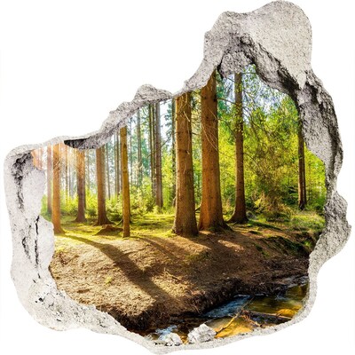 3D muursticker effect gat in de muur Een oase van rust in het bos