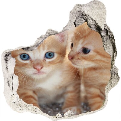 3D wandsticker gat in de muur Kittens in een gat in de muur