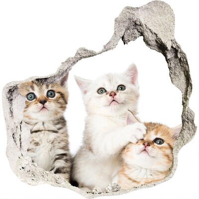 Zelfklevende muursticker 3D gat Kittens in een gat in de muur