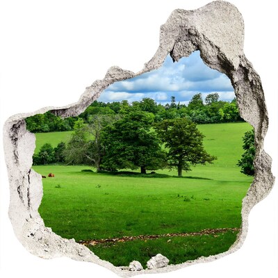 3D wandsticker gat in de muur Groene weide met bomen