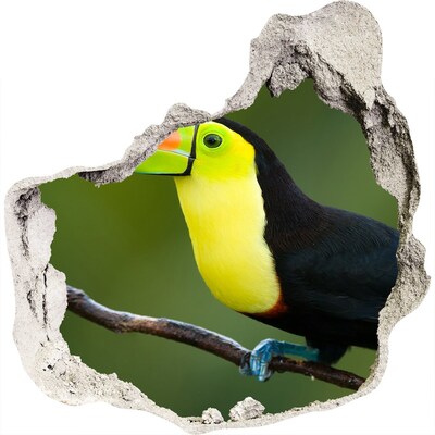 3D muursticker effect gat in de muur Toekan in een tropisch bos