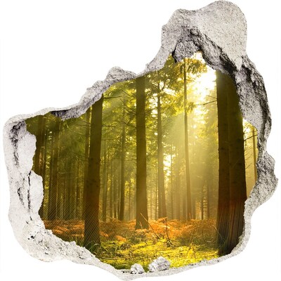 3D wandsticker gat in de muur Bosoase van Licht