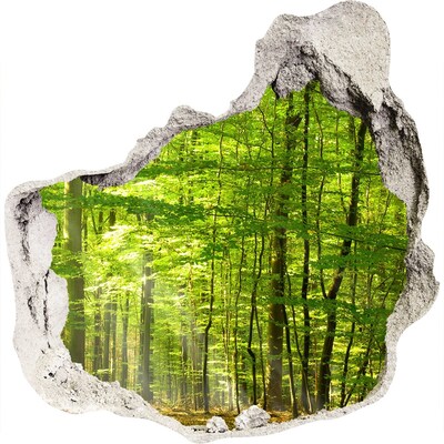 3D wandsticker gat in de muur Groen bos in het zonlicht