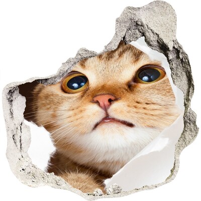 3D muursticker effect gat in de muur Kat door een gat in de muur