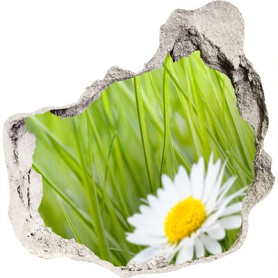 3D wandsticker gat in de muur Een bloem in een groene tuin