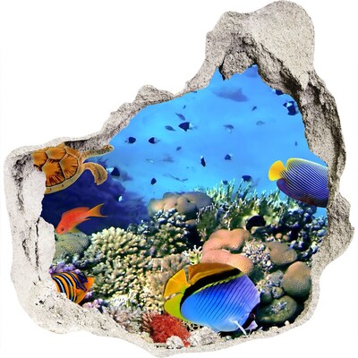 3D wandsticker gat in de muur Onderwaterparadijs