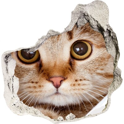 3D muursticker effect gat in de muur De kat achter het gat in de muur