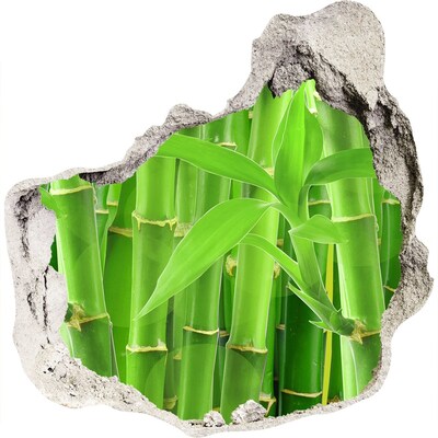 3D wandsticker gat in de muur Groen bamboebos
