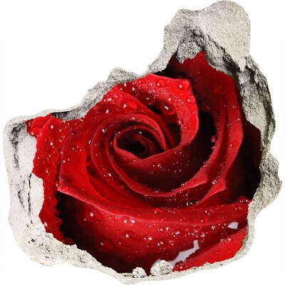 3D wandsticker gat in de muur Bloem in beton