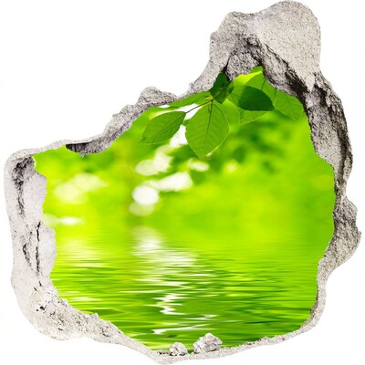 3D wandsticker gat in de muur Groene oase met water