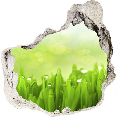 3D wandsticker gat in de muur Groene weide met waterdruppels