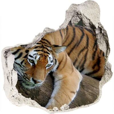 3D wandsticker gat in de muur Tijger in zijn natuurlijke habitat