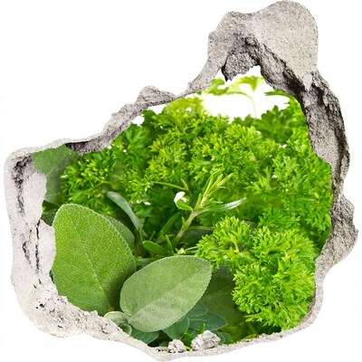 3D muursticker effect gat in de muur Een groene oase in beton.