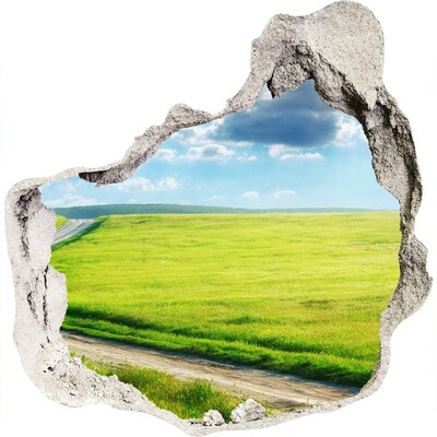 3D wandsticker gat in de muur Groene weide met de hemel