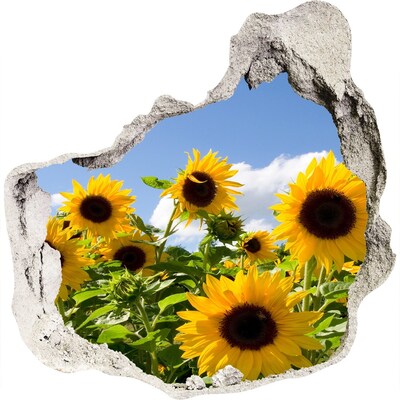 Zelfklevende muursticker 3D gat Zonnebloemen bij daglicht