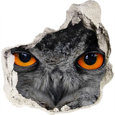 3D muursticker effect gat in de muur Uil in een gat in de muur