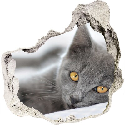 3D muursticker effect gat in de muur Grijze kat in een gat in de muur