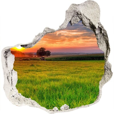 3D muursticker effect gat in de muur Zonsondergang boven de weide