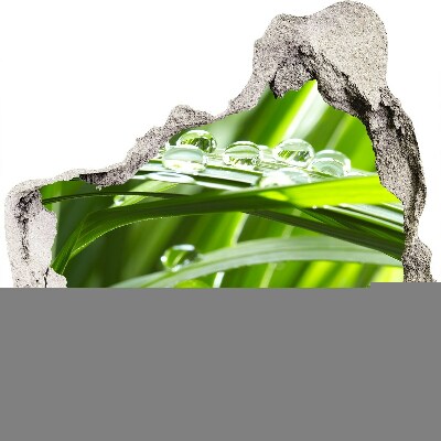 Zelfklevende muursticker 3D gat Groene weide met waterdruppels