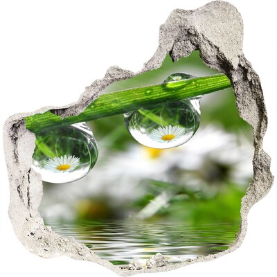 Zelfklevende muursticker 3D gat Bloemenoase met waterdruppels