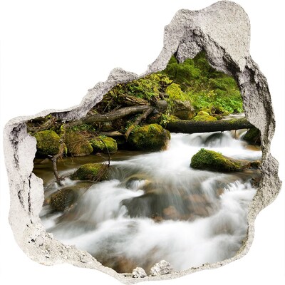 3D wandsticker gat in de muur Groene beek in het bos