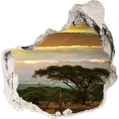 3D wandsticker gat in de muur Afrikaans landschap met bomen