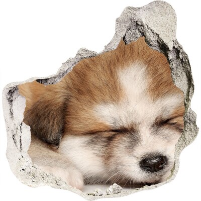 3D wandsticker gat in de muur Schattige puppy in een gat in de muur