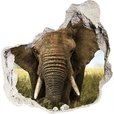 Zelfklevende muursticker 3D gat Olifanten in hun natuurlijke leefomgeving