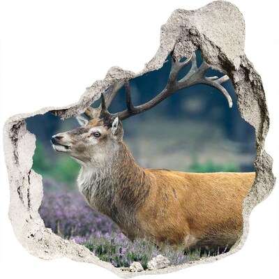 3D muursticker effect gat in de muur Hert in zijn natuurlijke leefomgeving