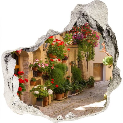 Zelfklevende muursticker 3D gat Een charmante straat met bloemen