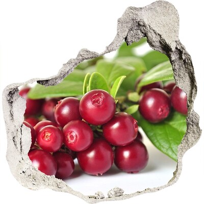 3D wandsticker gat in de muur Fruity Hole in the Wall