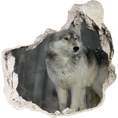 3D muursticker effect gat in de muur Wolf in zijn natuurlijke habitat