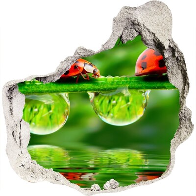 Zelfklevende muursticker 3D gat Een vleugje natuur met een lieveheersbeestje