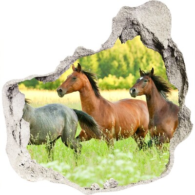 3D muursticker effect gat in de muur Rennende paarden in de natuur