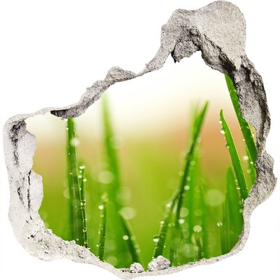 3D wandsticker gat in de muur Groene weide met waterdruppels