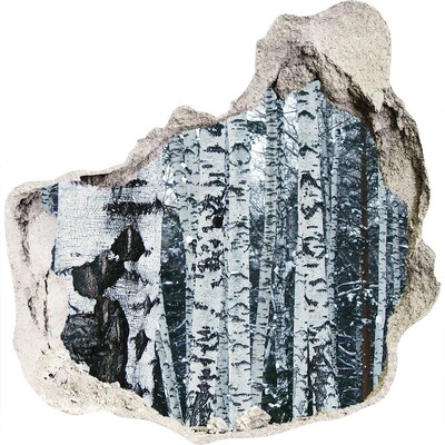 Zelfklevende muursticker 3D gat Winterberkenbos