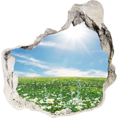 3D wandsticker gat in de muur Een bloemenweide onder een blauwe hemel