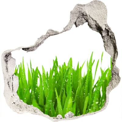 3D muursticker effect gat in de muur Groene weide door een gat in de muur