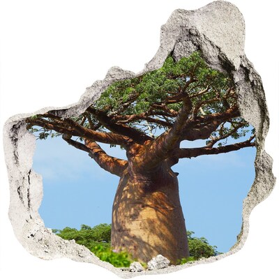 3D wandsticker gat in de muur Baobab in een gat in de muur