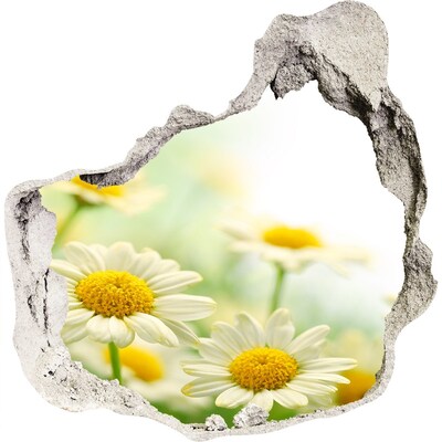 3D wandsticker gat in de muur Een bloemenparadijs achter de muur.
