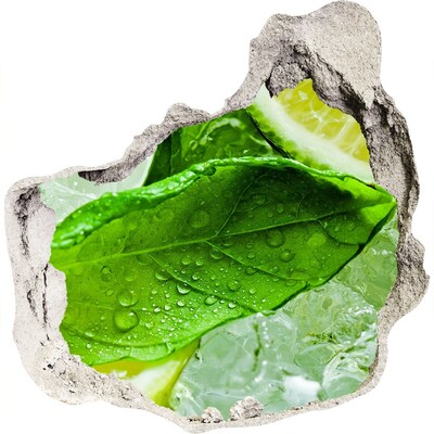 Zelfklevende muursticker 3D gat Verse muntblaadjes op ijs