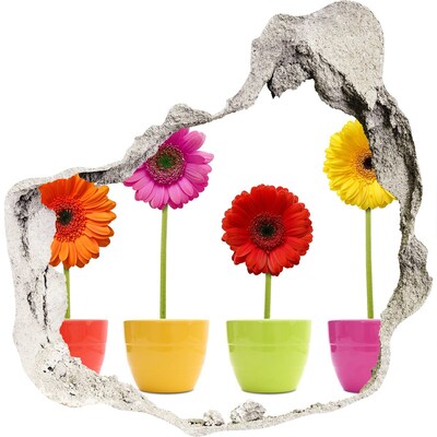 3D wandsticker gat in de muur Bloemen in potten door een gat in de muur