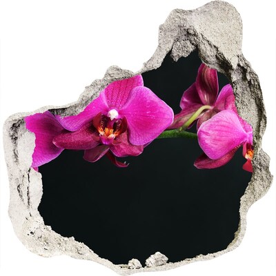 3D muursticker effect gat in de muur Orchidee door de muur